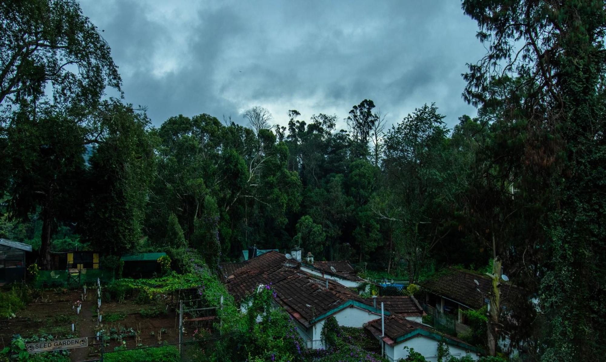 Treebo Kodai Kings Park, 650 M From Kodai Lake Kodaikanal Luaran gambar